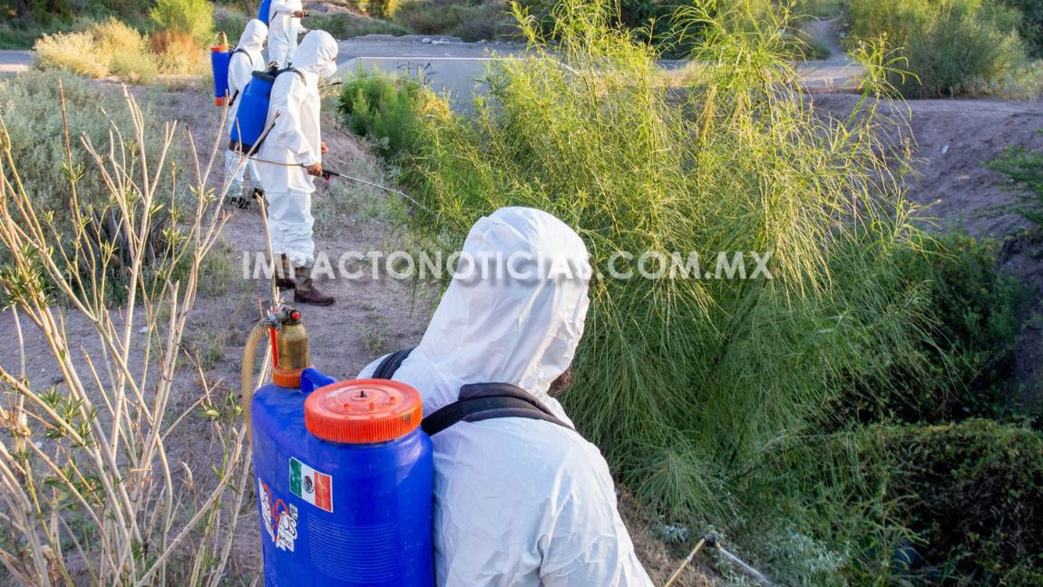 Inician trabajos de fumigación y Destilichadero en Delicias para ...